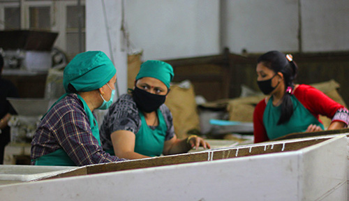 Tea workers in factory